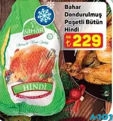 BAHAR DONDURULMUŞ POŞETLİ BÜTÜN HİNDİ fiyat ve kampanya bilgisi